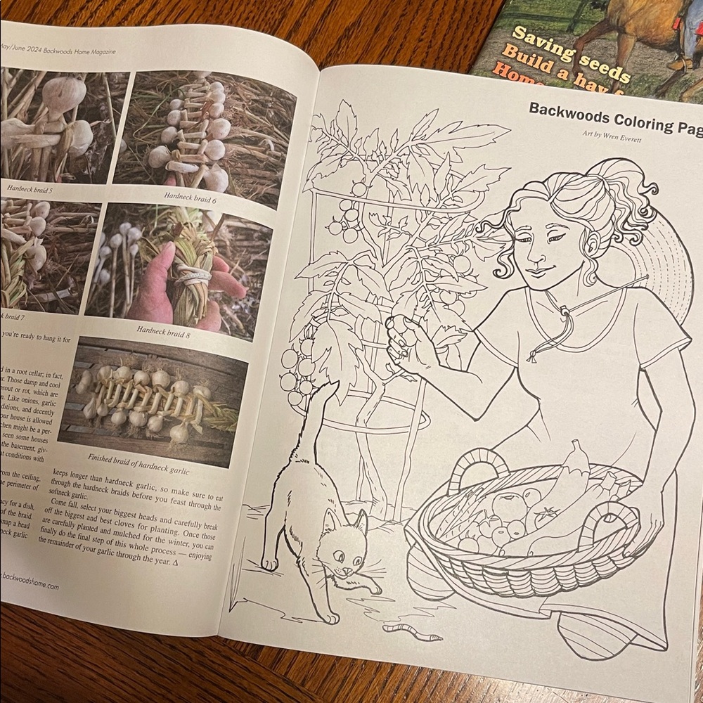 Backwoods Home Magazine Collection - Picture 14 of 16